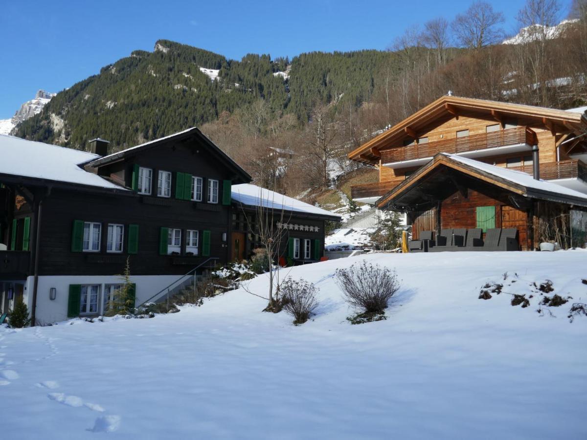 Apartment Chalet Schwendihus-6 By Interhome Grindelwald Exterior foto